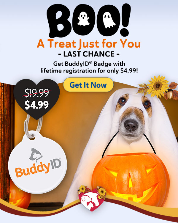 BuddyID BuddyBadge