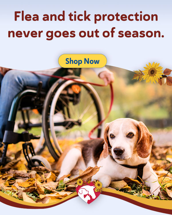 Shop Breeder's Edge