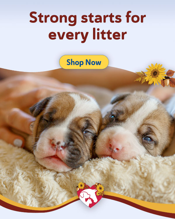 Shop Breeder's Edge