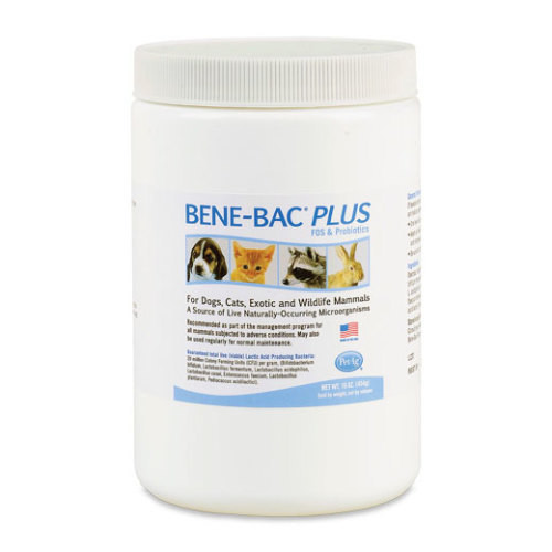 Bene-Bac® Plus