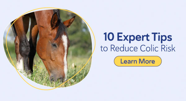 10 Expert Tips to Reduce Colic Risk