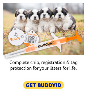 BuddyID Complete Protection System