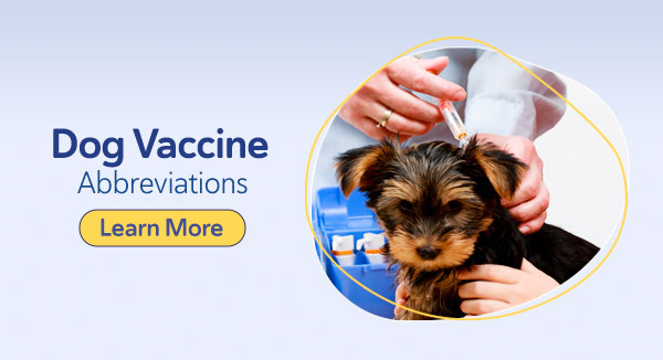 Canine Vaccine Abbreviations