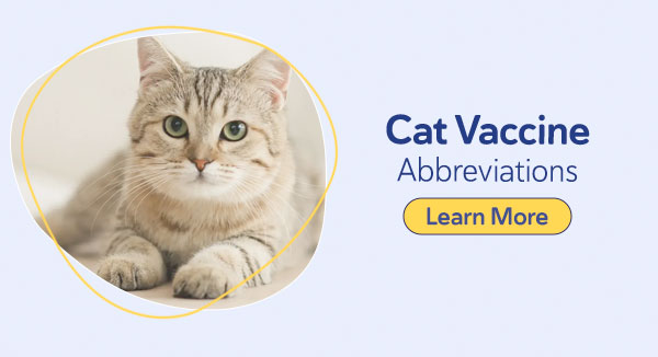 Feline Vaccine Abbreviations