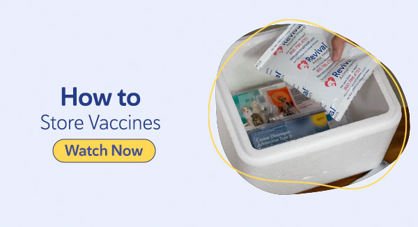 How to Store Vaccines