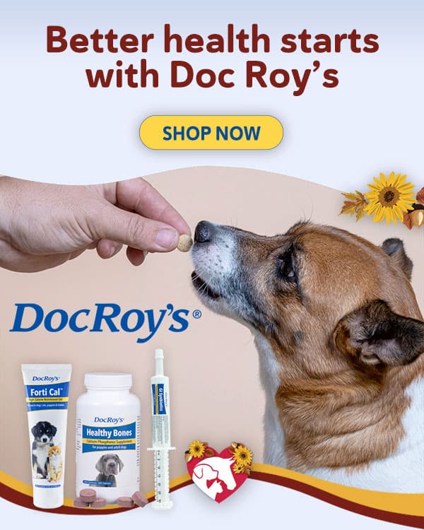 Shop Doc Roy's
