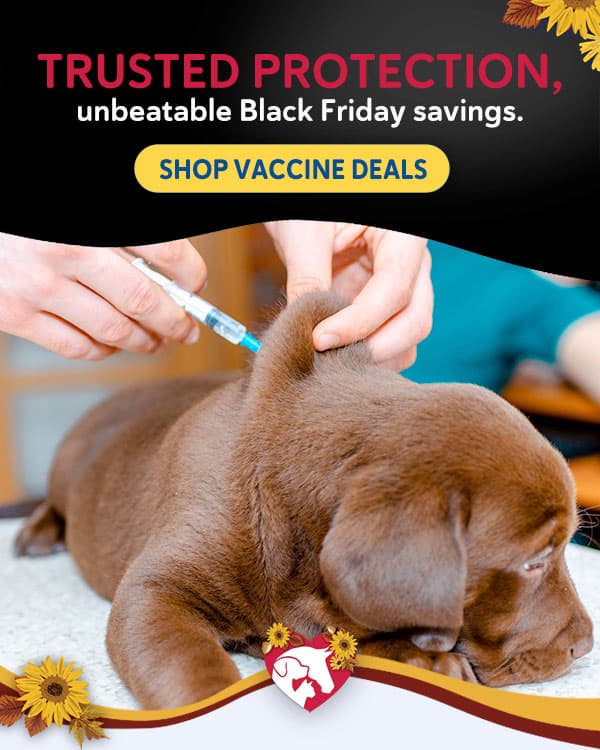 Black Friday Deals