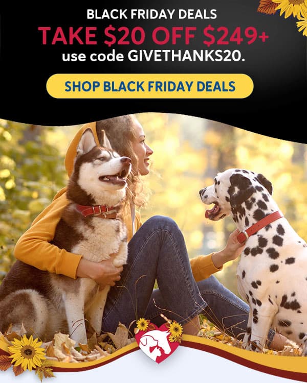 Black Friday Deals