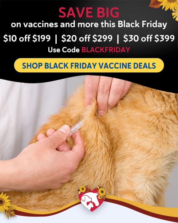 Black Friday Deals