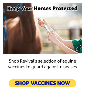 Equine Vaccines
