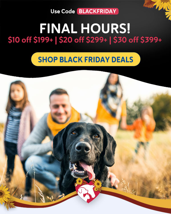Final Hours for Black Friday Deals