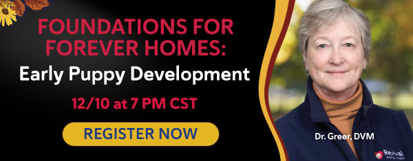 Dr. Greer's December Webinar 