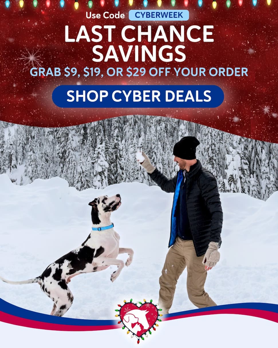 Shop Cyber Deals