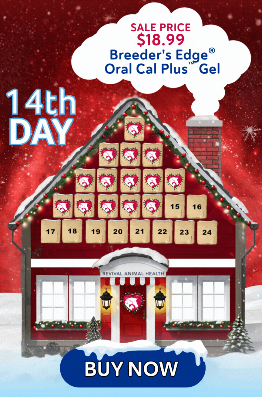 14th Day of Advent Product Highlight - Breeder's Edge Oral Cal Plus