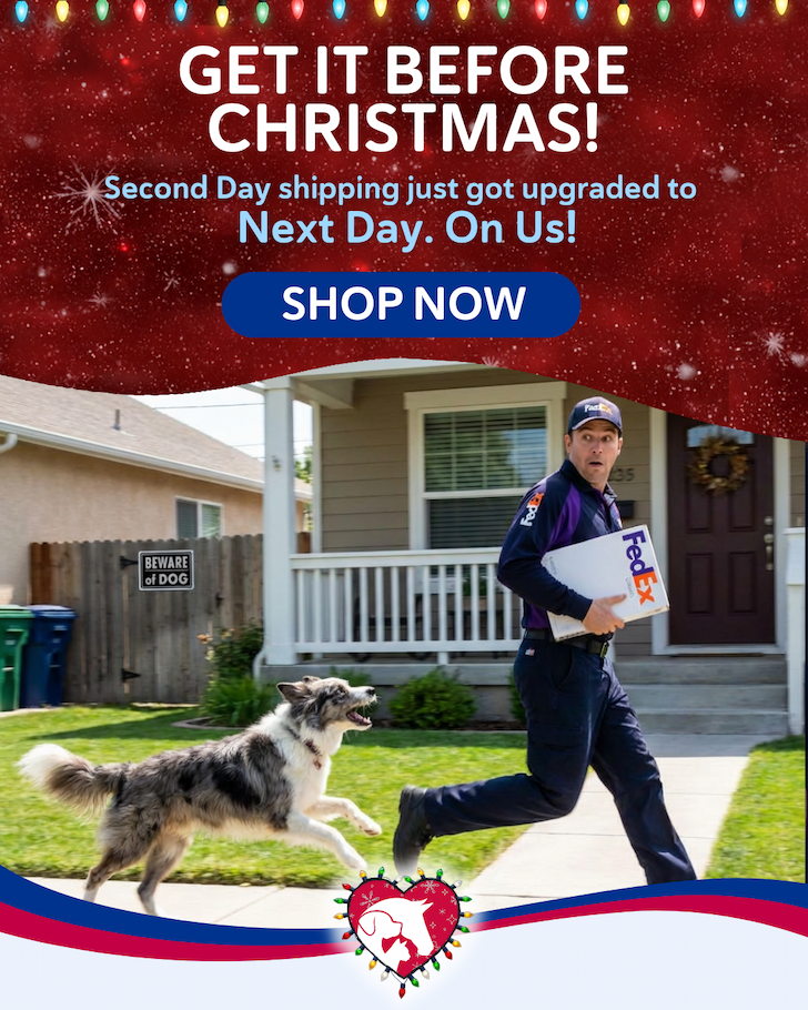 Get It Before Christmas! Second Day shipping upgraded to Next Day, On Us!
