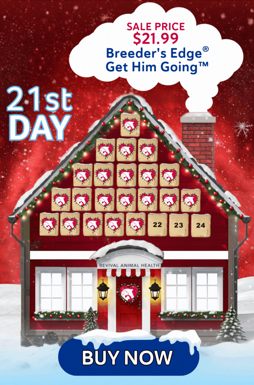 21st Day of Advent Product Highlight - Breeder's Edge® Get Him Going™