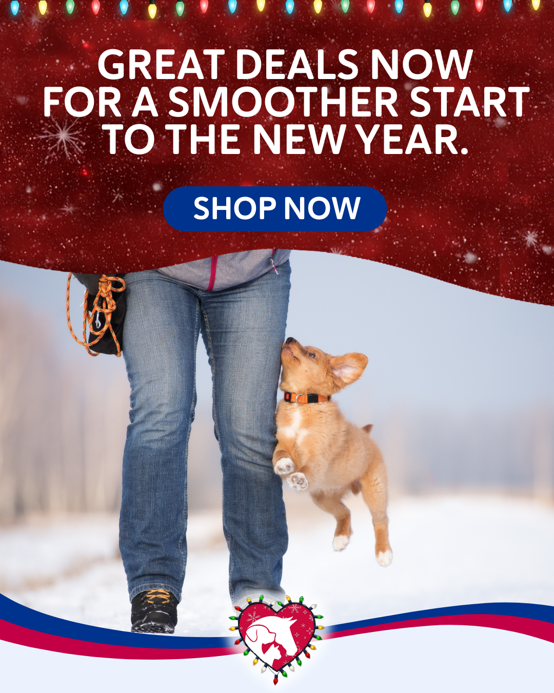 Shop Top Deals
