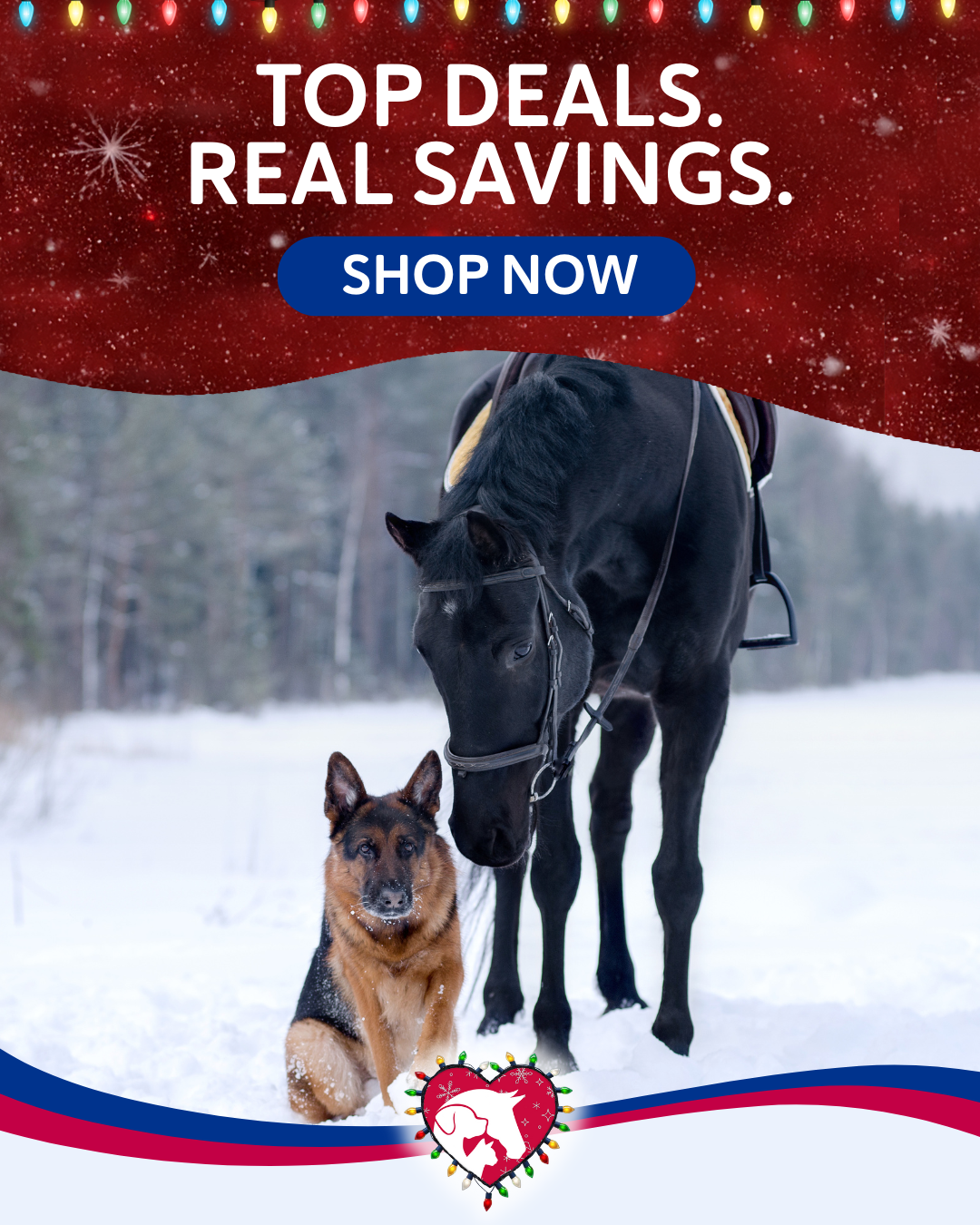 Shop Top Deals