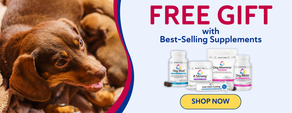 Free Gift with Best-Selling Supplements