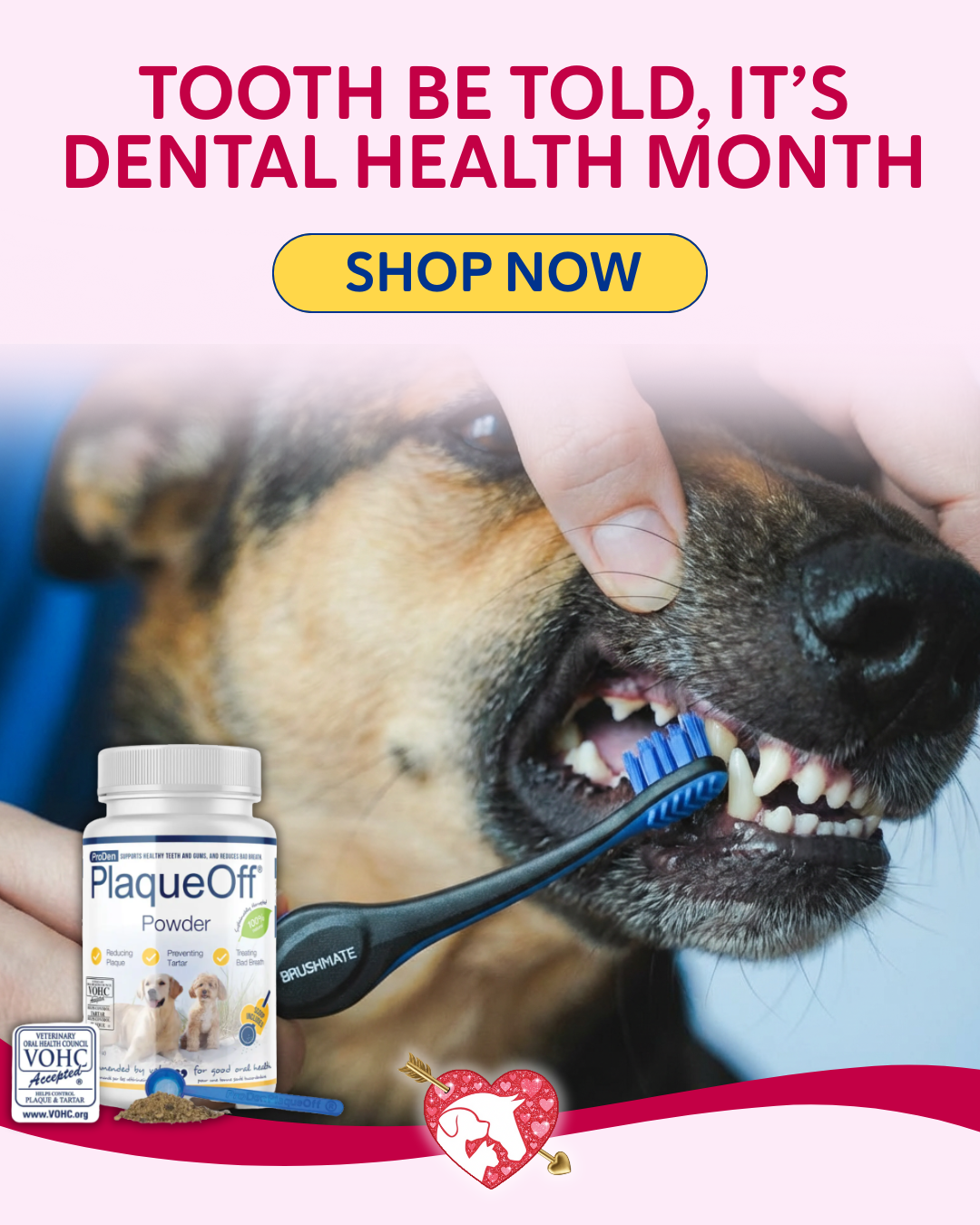 Shop Dental Care