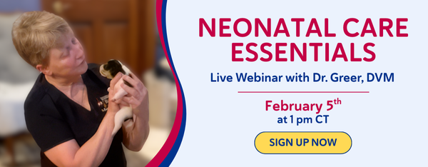 Dr. Greer Webinar