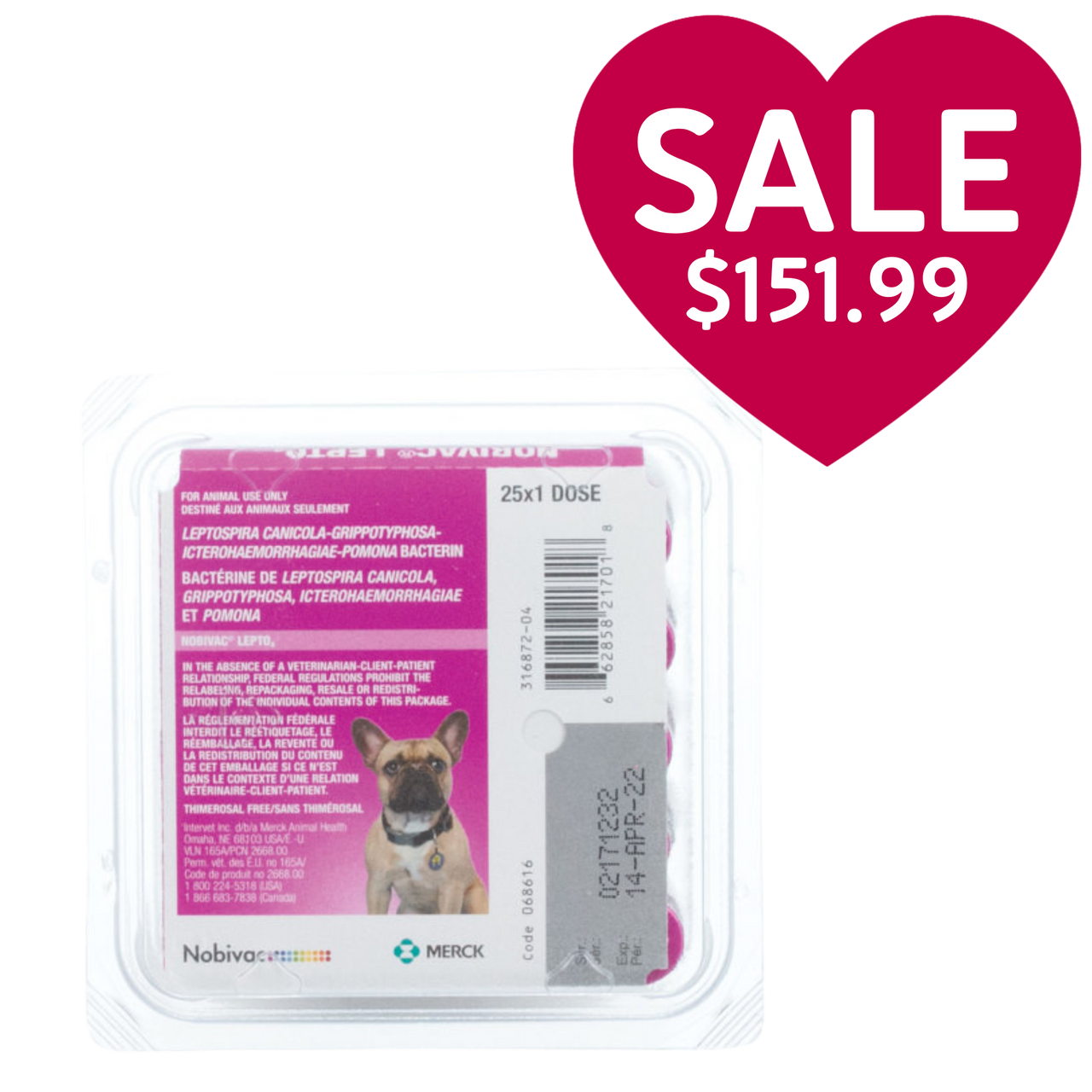 Nobivac® Canine Lepto4