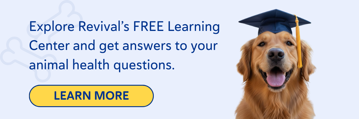 Revival’s free Learning Center