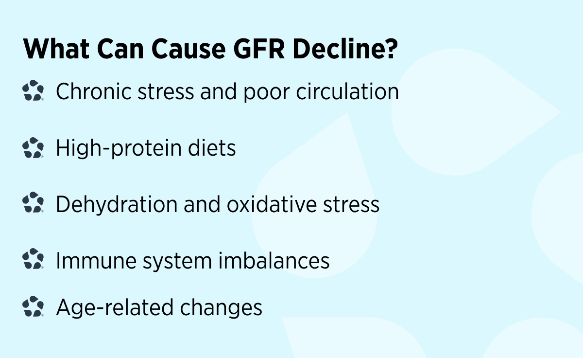What can cause GFR Decline