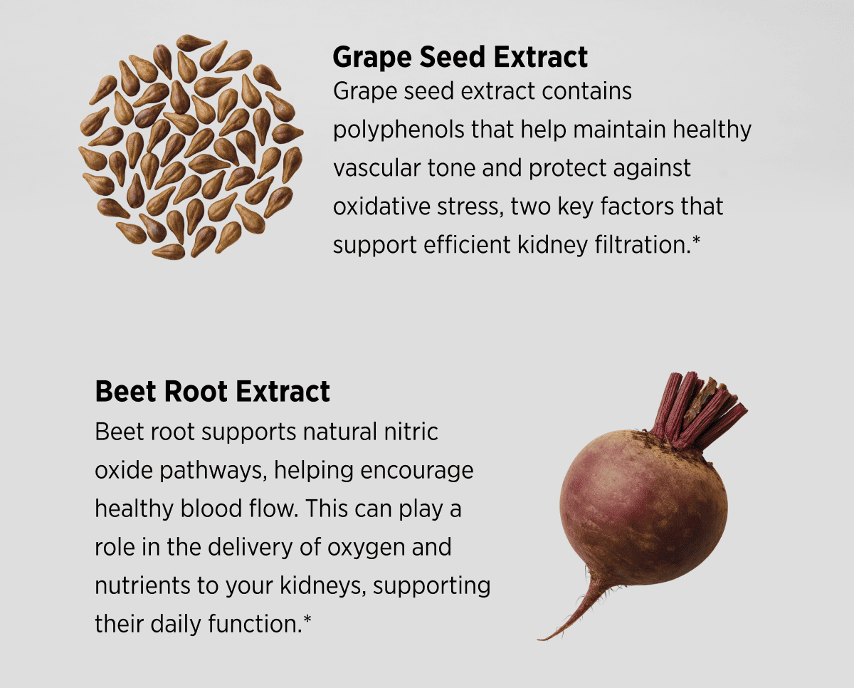 Grape Seed Extract And Beet Root Extract