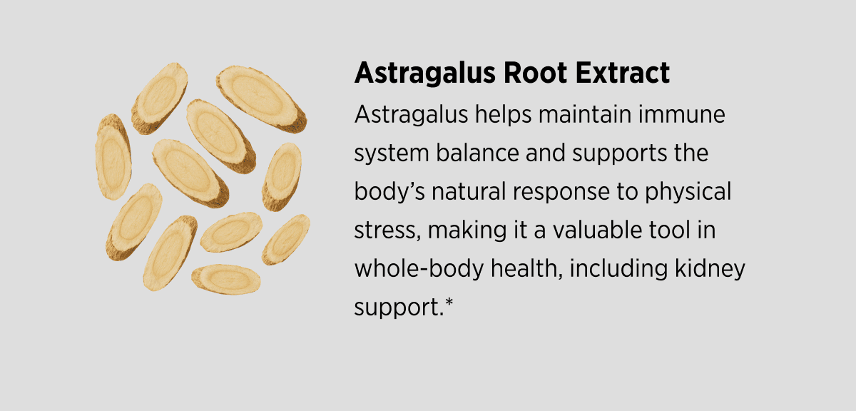 Astragalus Root Extract