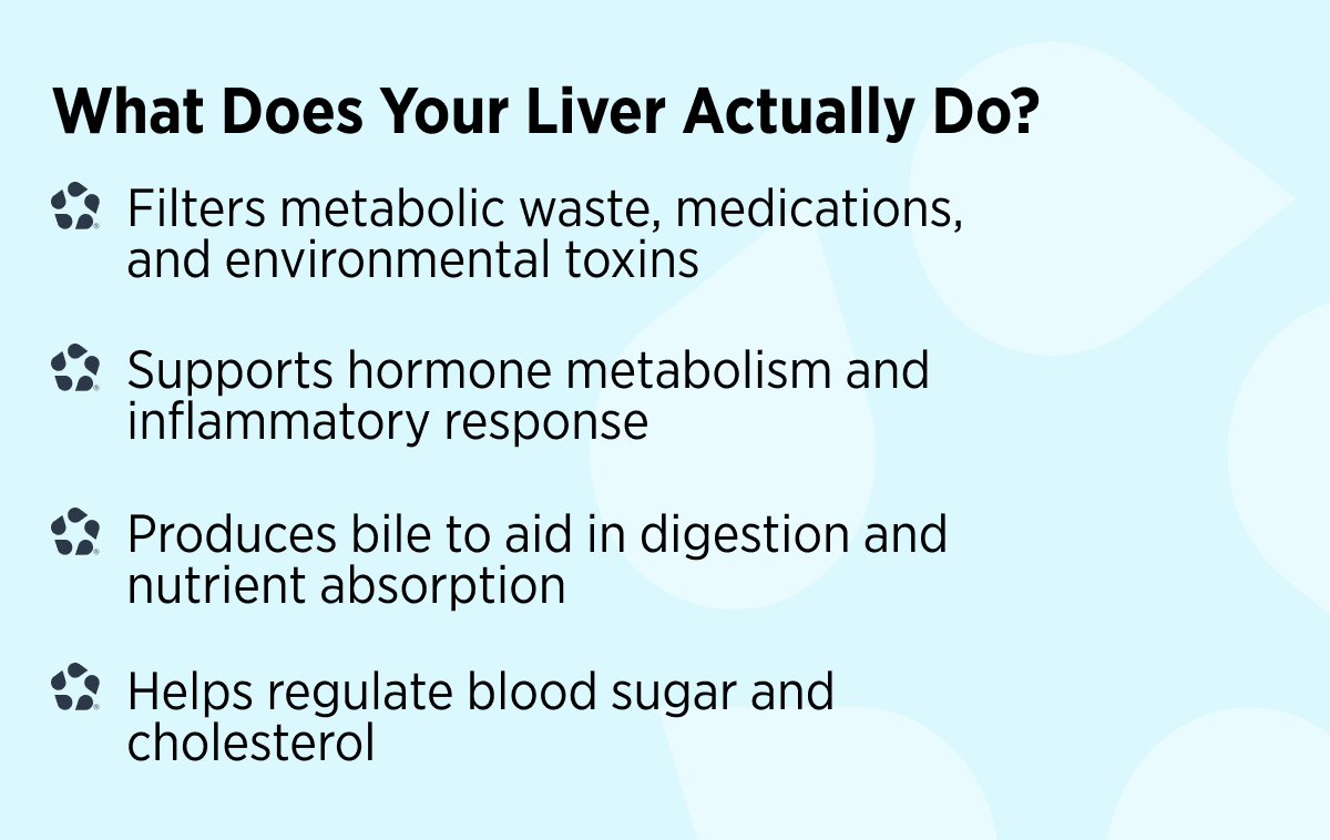 What does your liver actually do?