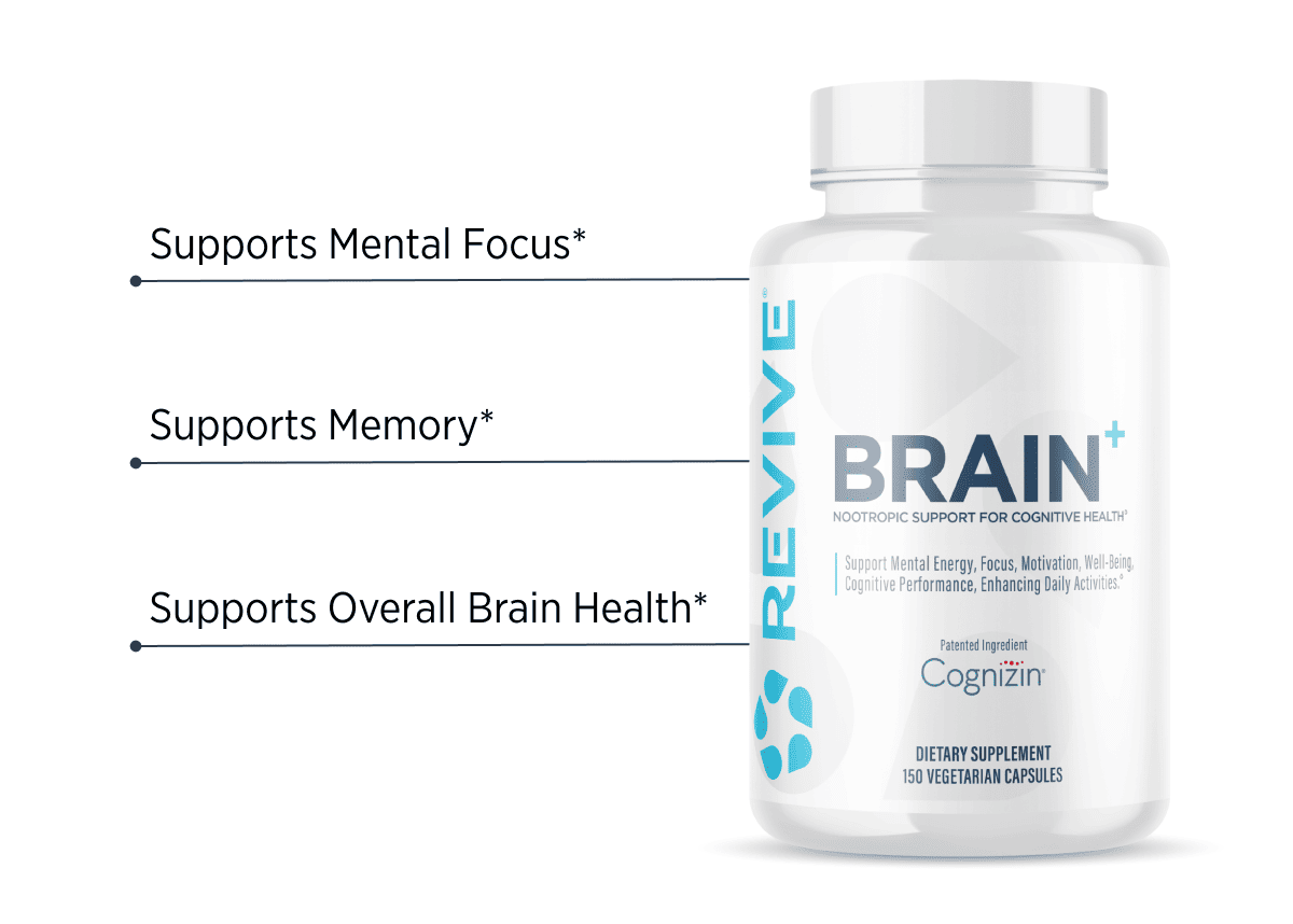 Meet Brain+