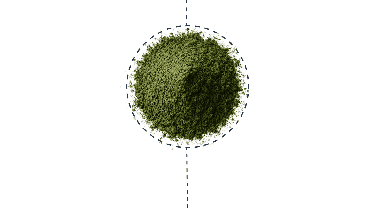 You'll find inulin as a key ingredient in our Daily Greens formula