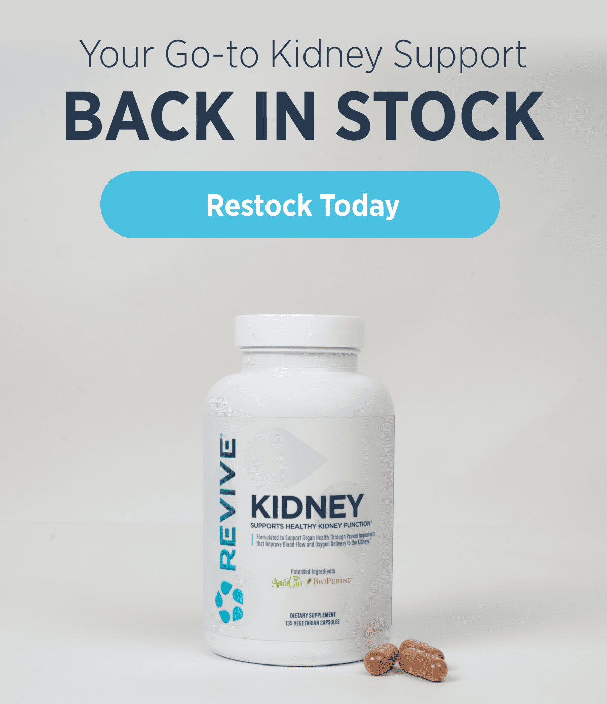 Kidney back in stock