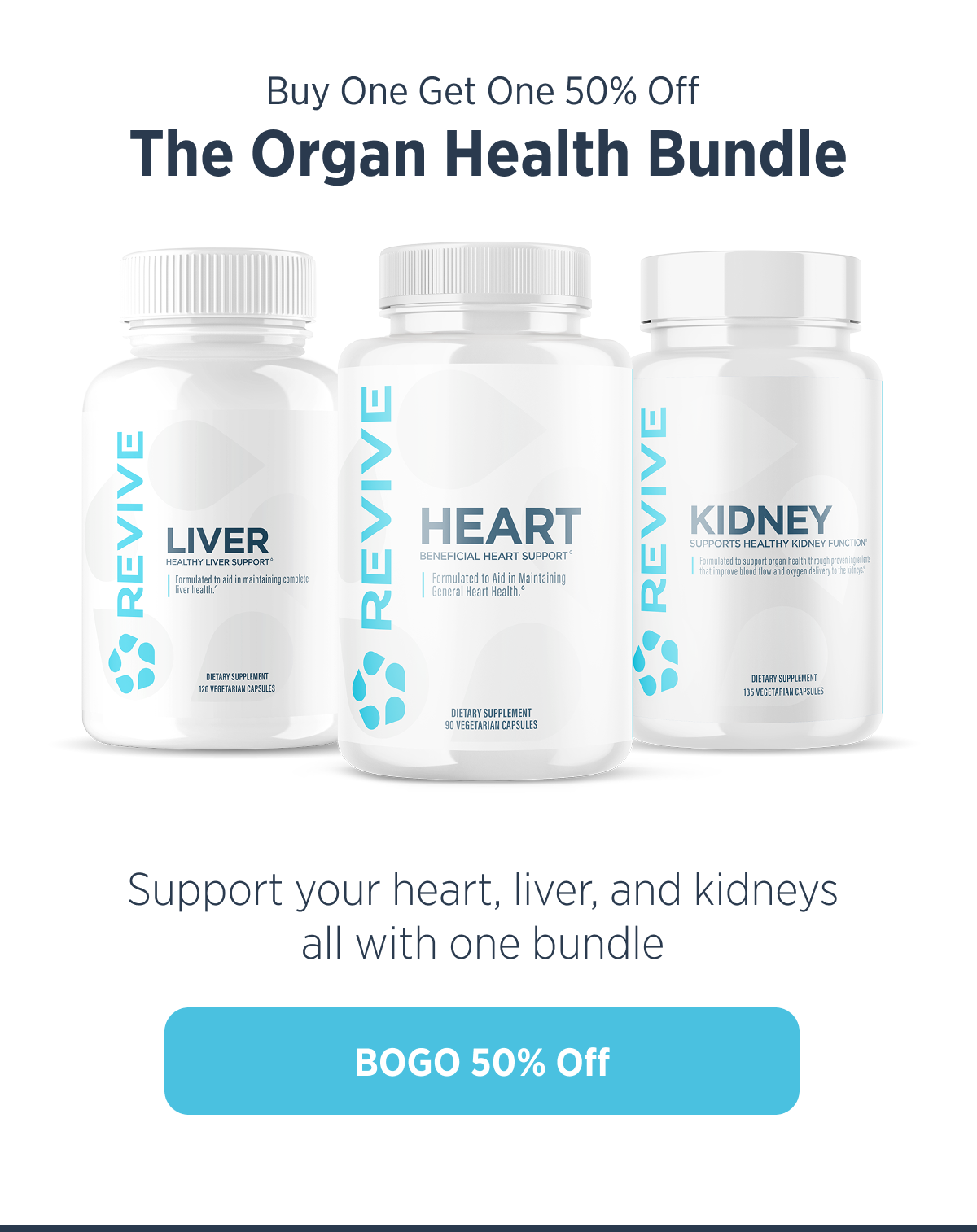 The Organ Bundle 