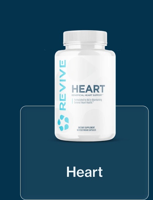 Heart 