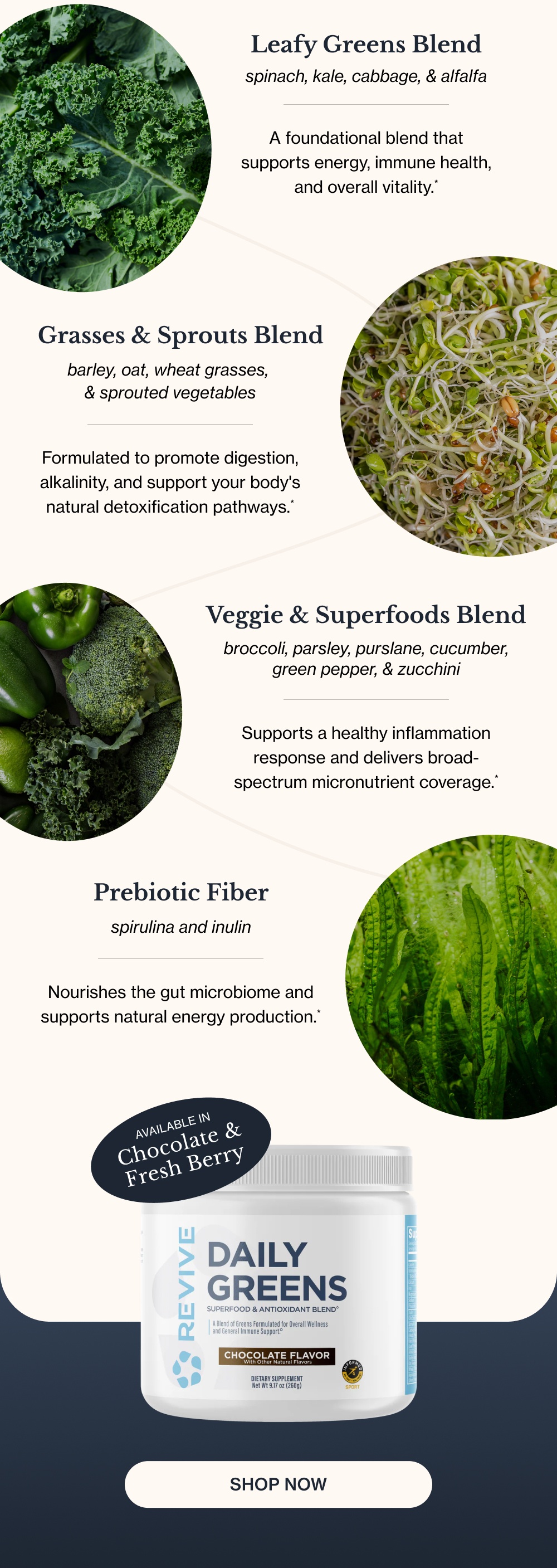 Leafy Greens Blend spinach, kale, cabbage, & alfalfa A foundational blend that supports energy, immune health, and overall vitality.* Grasses & Sprouts Blend barley, oat, wheat grasses, & sprouted vegetables Formulated to promote digestion, alkalinity, and support your body's natural detoxification pathways.* Veggie & Superfoods Blend broccoli, parsley, purslane, cucumber, green pepper, & zucchini Supports a healthy inflammation response and delivers broad-spectrum micronutrient coverage.* Prebiotic Fiber spirulina and inulin Nourishes the gut microbiome and supports natural energy production.* Available in Chocolate & Fresh Berry Shop Now