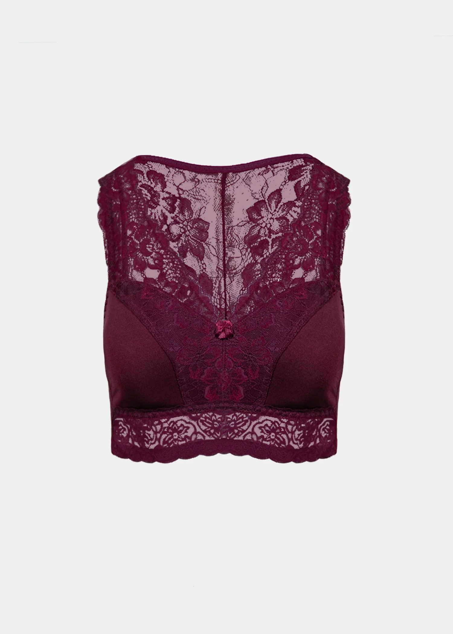 Image of Lace Back Pin-Up Bra - final sale