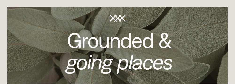 Grounded & going places