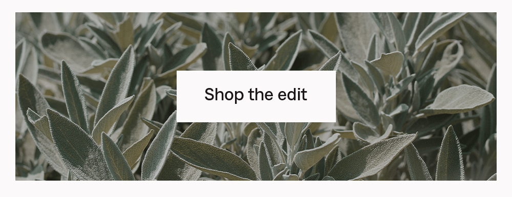 Shop the edit
