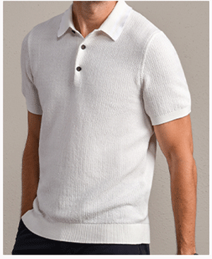 Fine Knit Sweater Polo
