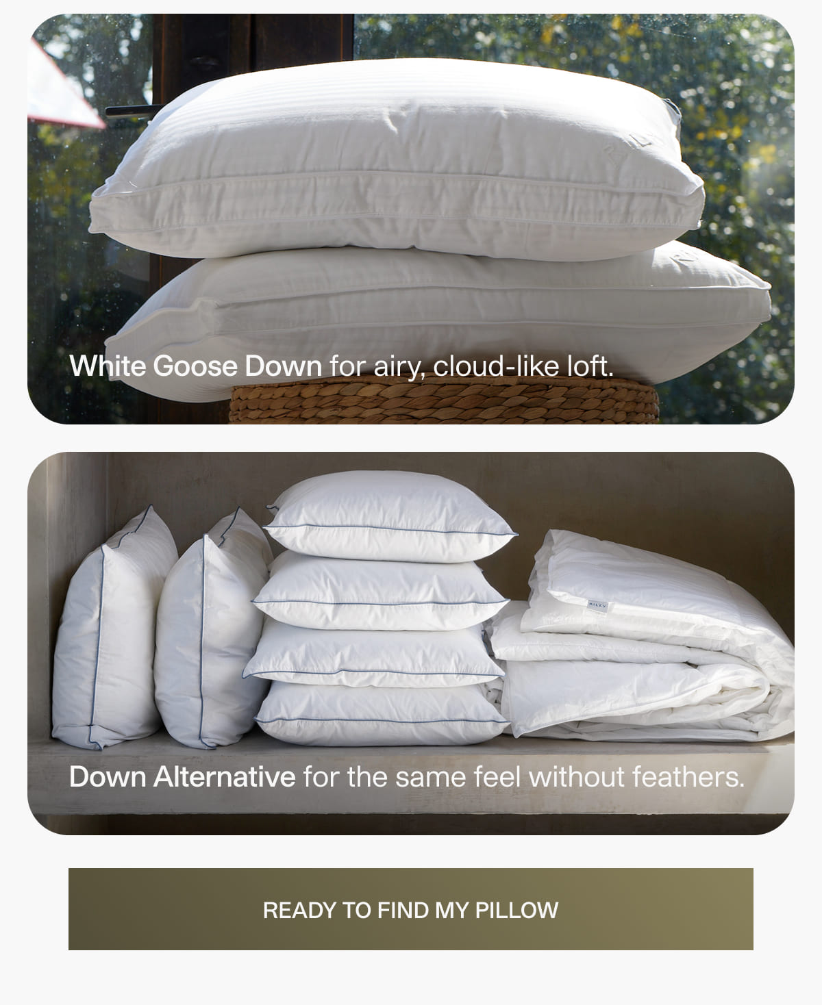 White goose down or down alternative
