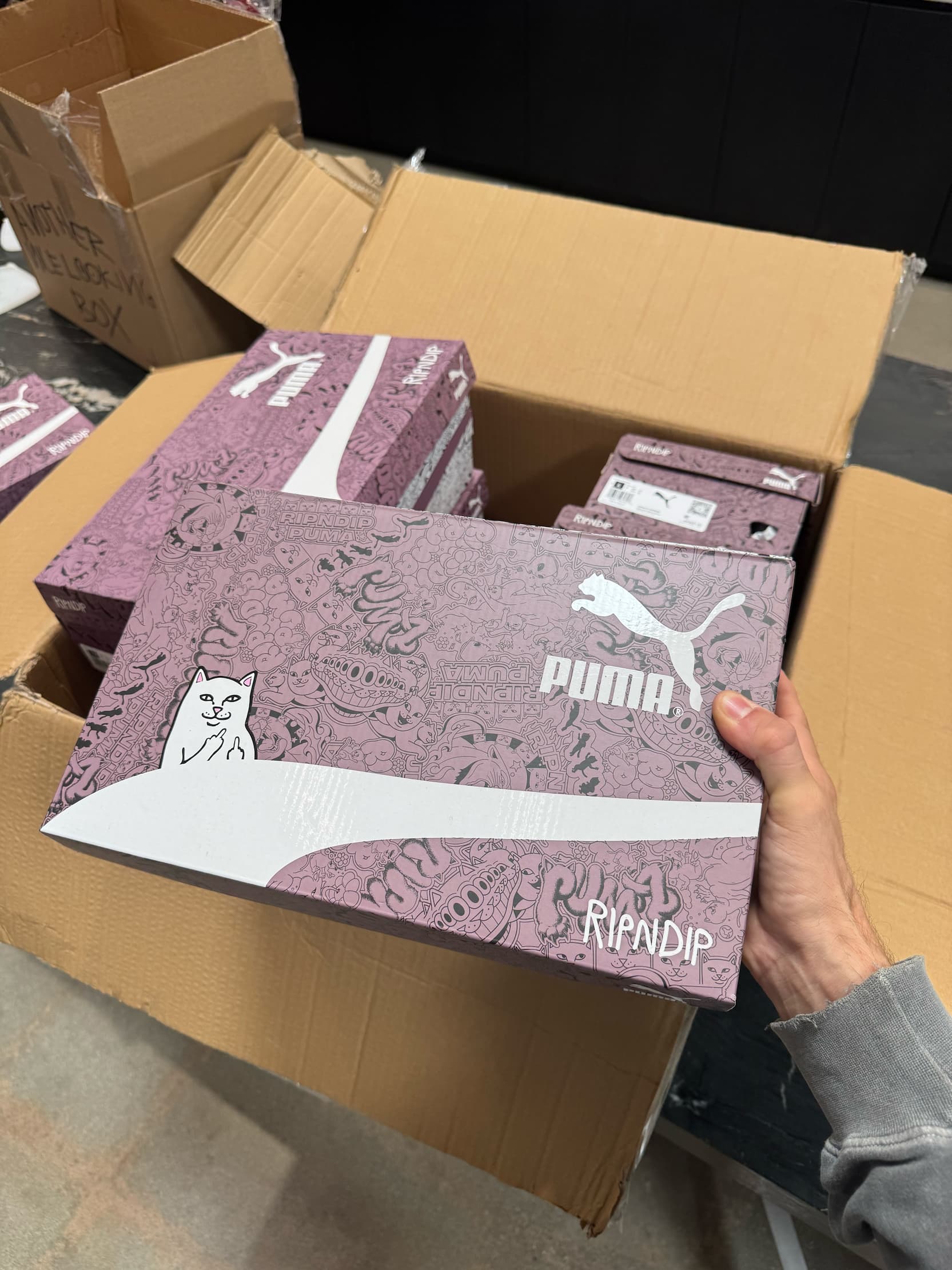 puma soon