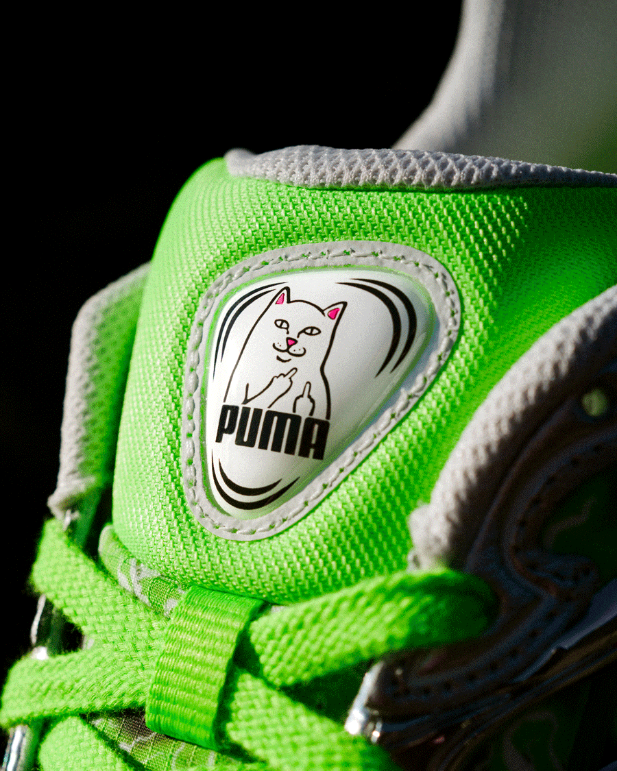 puma soon