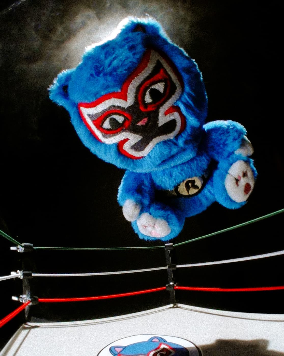 lucha nermiee