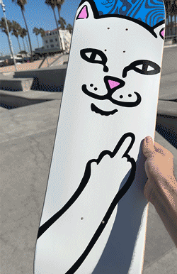skate decks