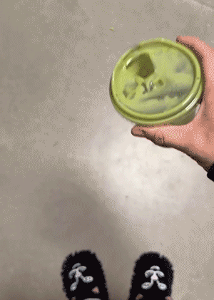 mop slippers