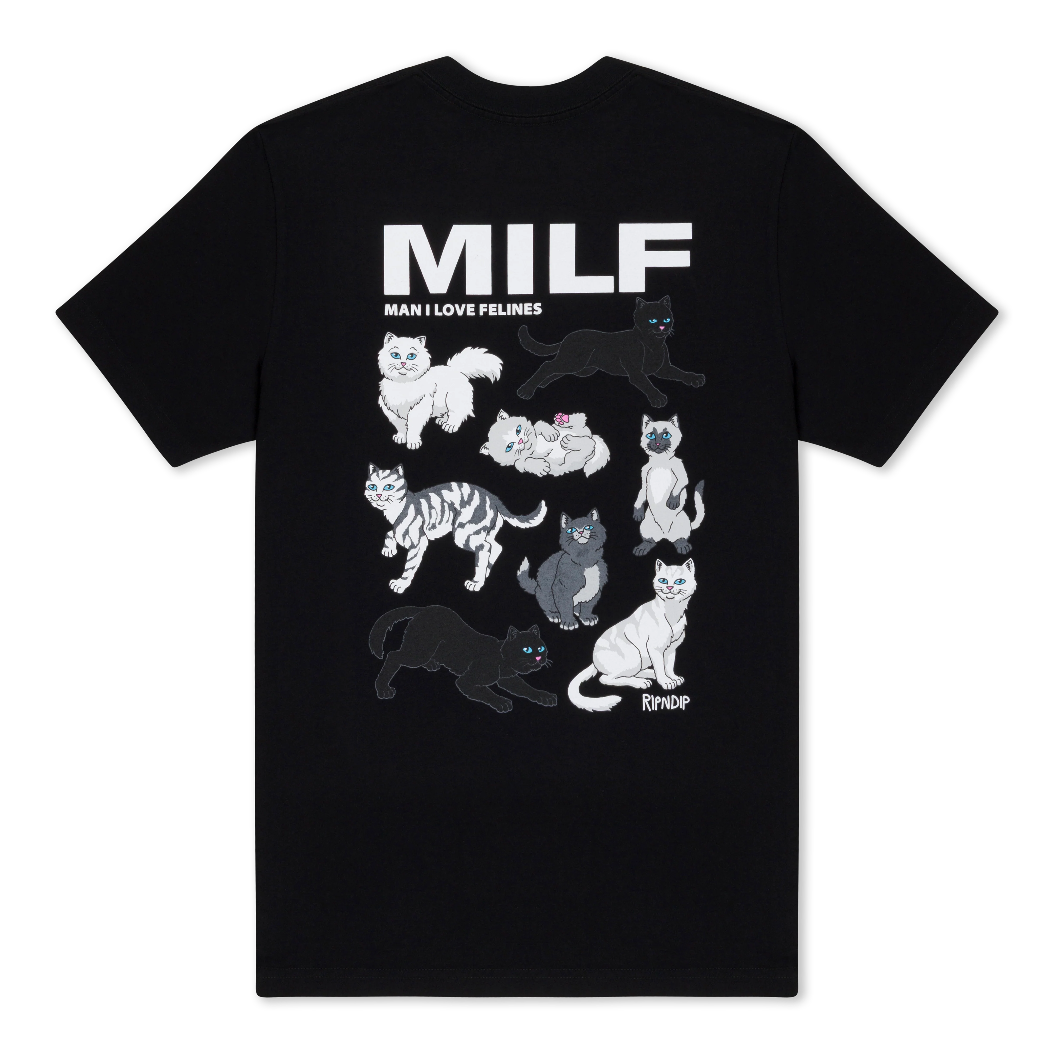 Image of Man I Love Felines Tee