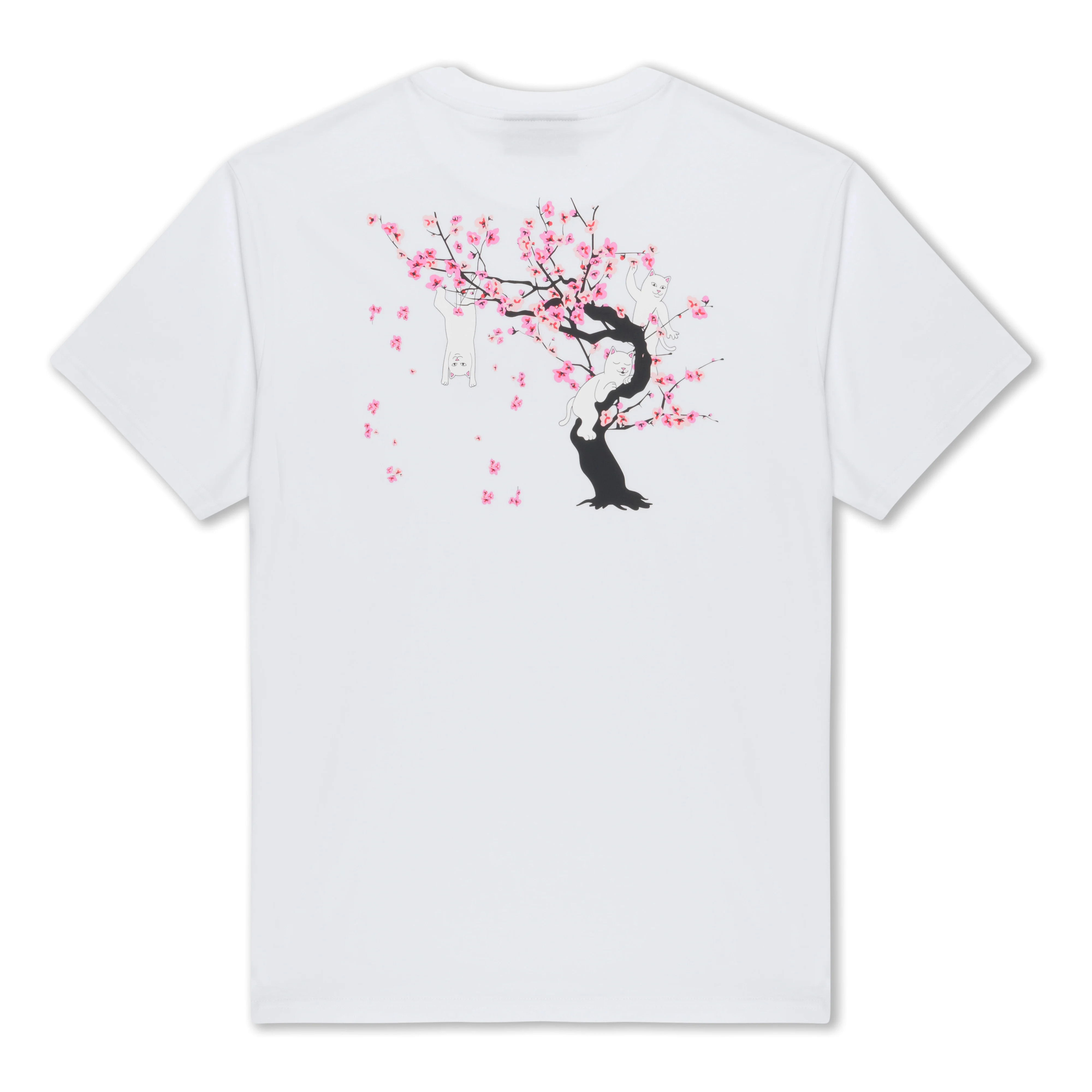 Image of Cherry Blossom Tee (White)