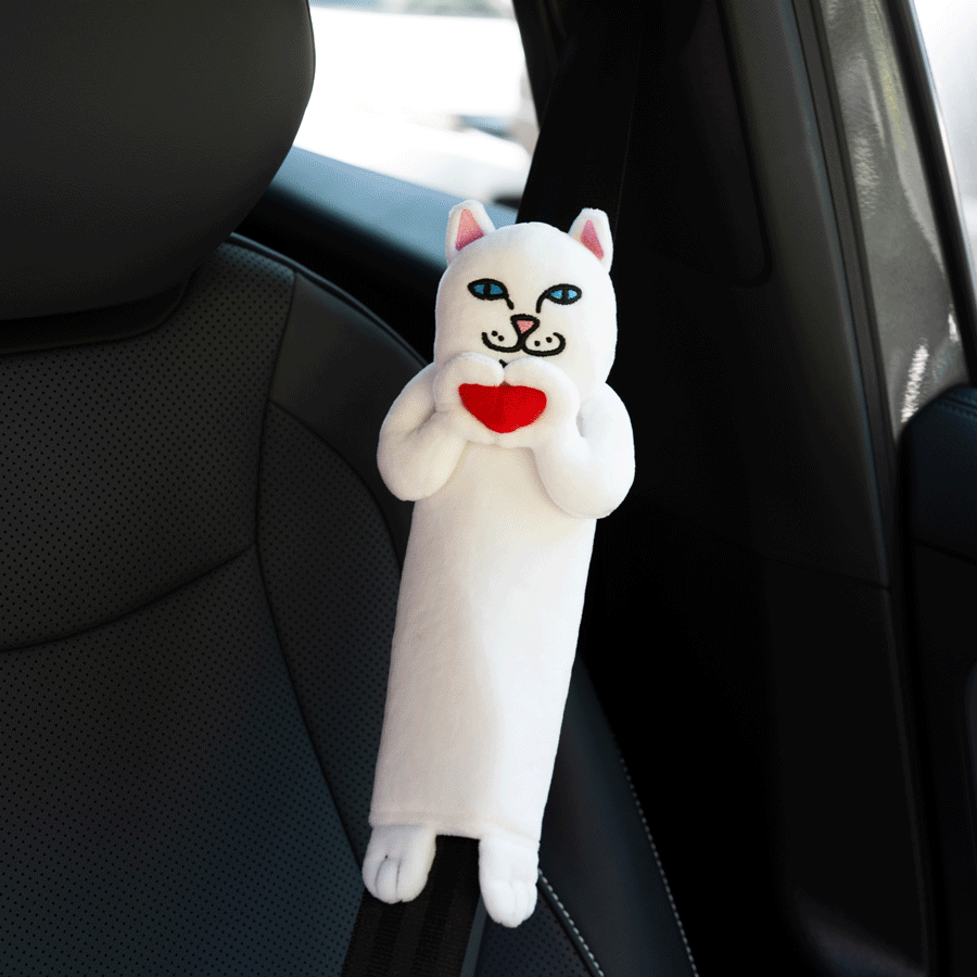 car accessories
